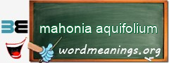 WordMeaning blackboard for mahonia aquifolium